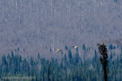Flying across the valley at 11 AM on Day 2 (May 9)
