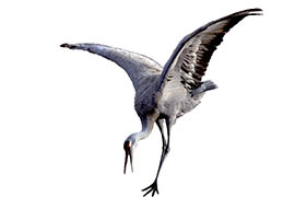 Ground-stab